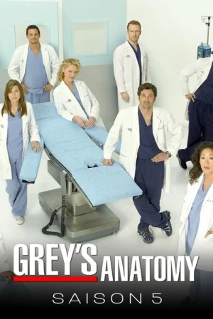  Grey's Anatomy - Saison 5 affiche 