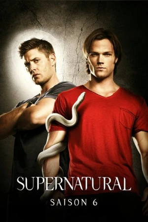  Supernatural - Saison 6 affiche 