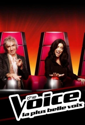  The Voice : La Plus Belle Voix - Saison 1 affiche 