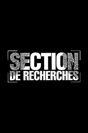  Section De Recherches - Saison 17 affiche 