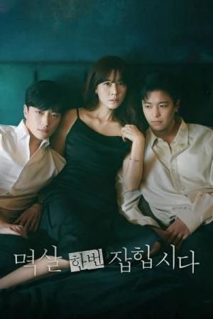  Nothing Uncovered - Saison 1 affiche 