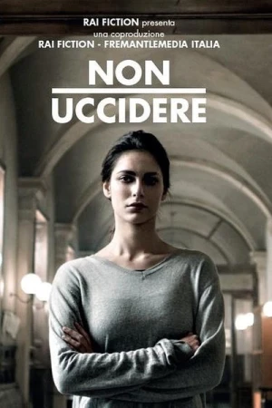  Squadra Criminale - Saison 1 affiche 