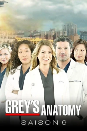  Grey's Anatomy - Saison 9 affiche 