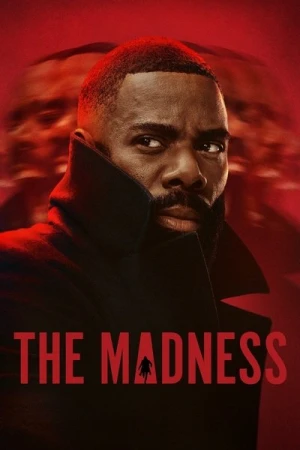  The Madness - Saison 1 affiche 