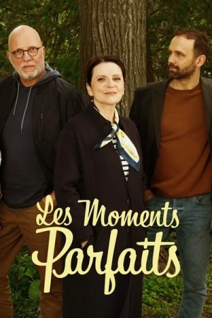  Les moments parfaits - Saison 3 affiche 